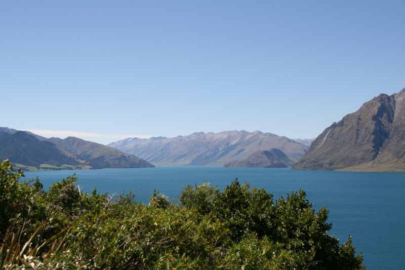 Nieuw-Zeeland 2011 - 1601